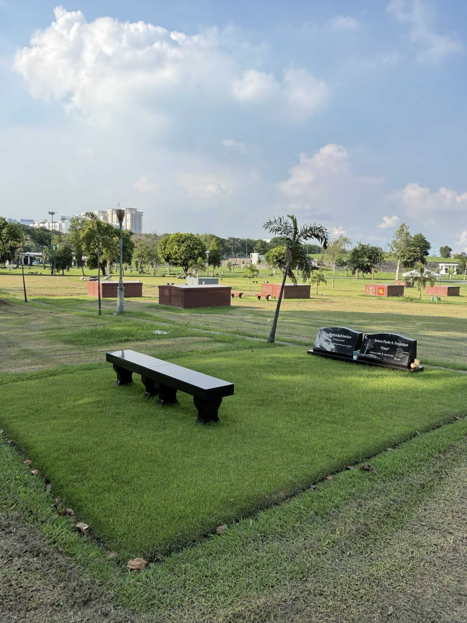Companion Lawn