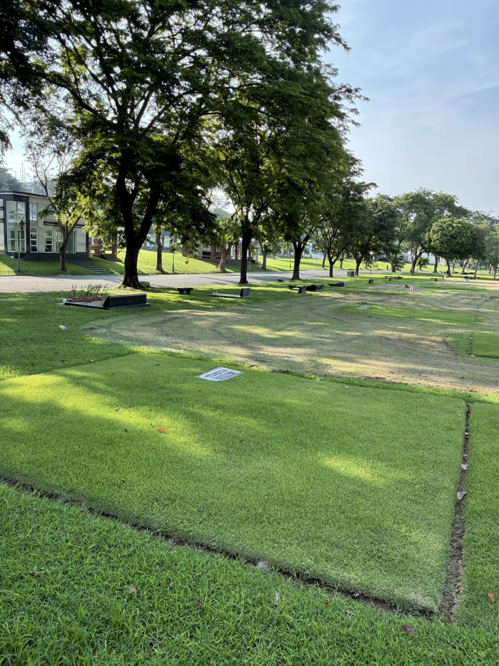 Lawn Lot